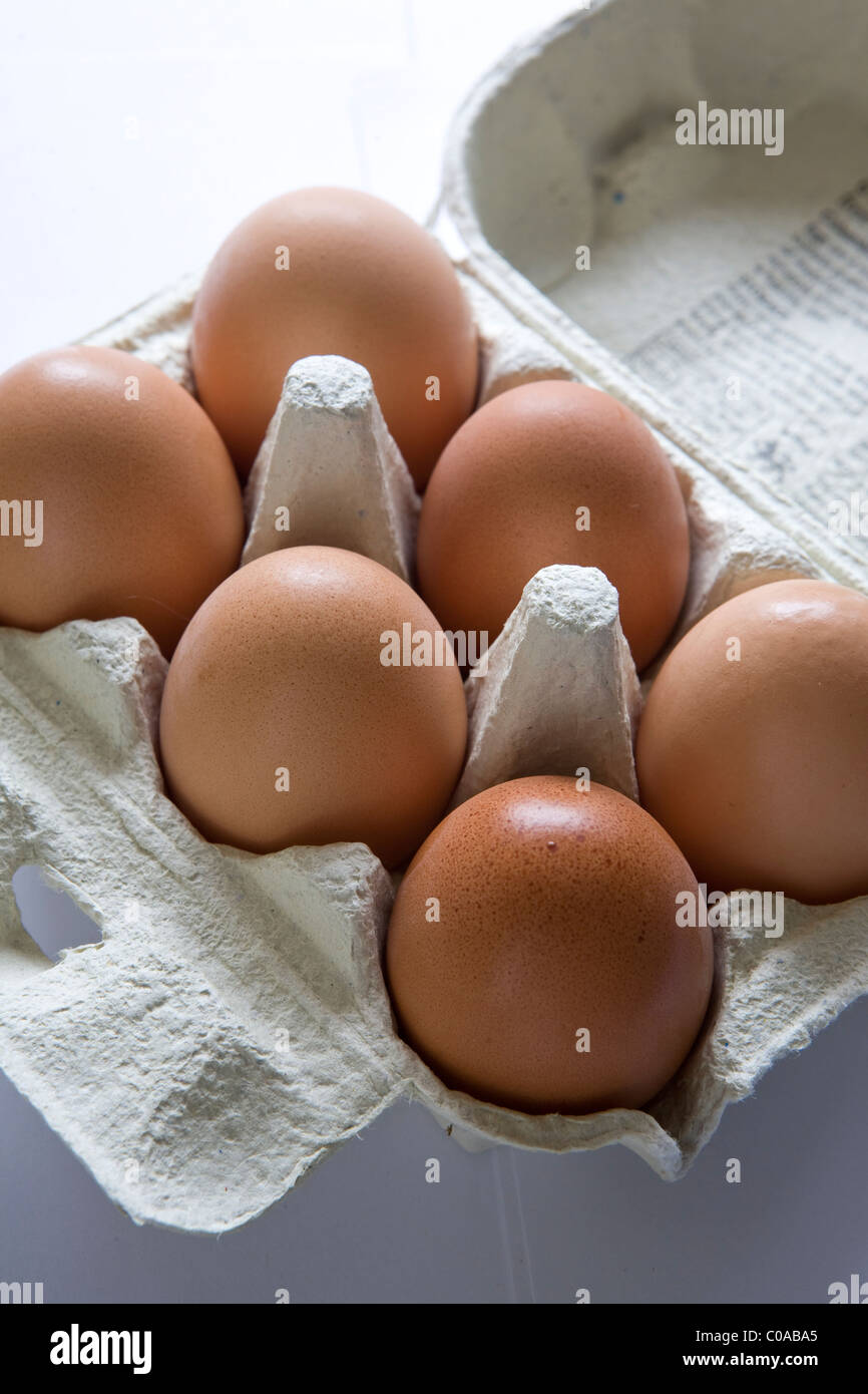 free range fresh eggs packaged in a carton against a white background Stock Photo