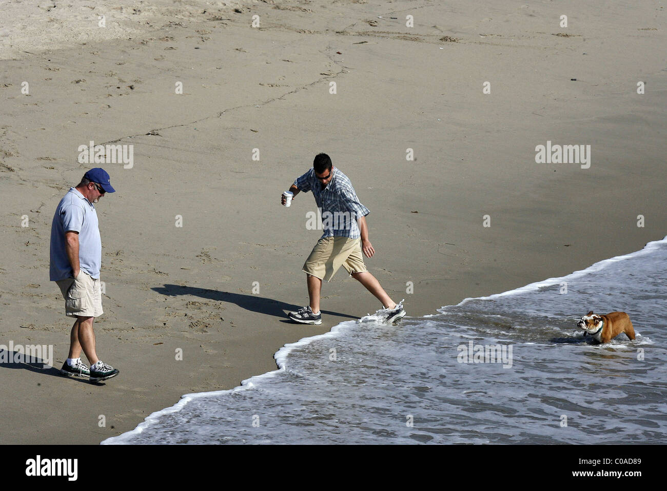 Adam sandler dog matzo ball hi-res stock photography and images - Alamy