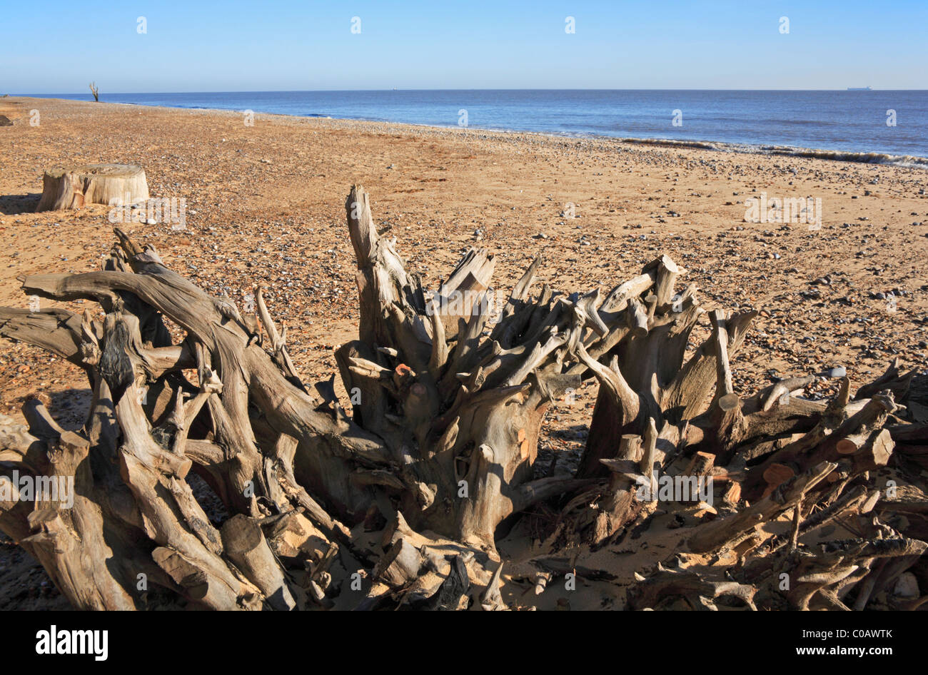 A view of the beach at Benacre, Suffolk, England, United Kingdom, with ...