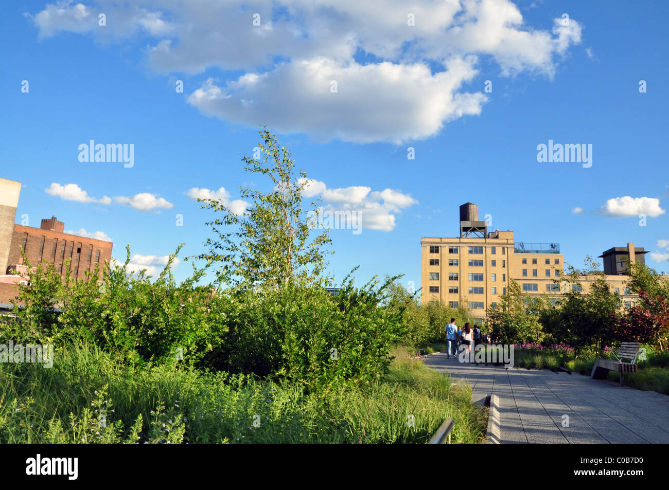 Highline New York City Stock Photo - Highline New York City C0B7D0