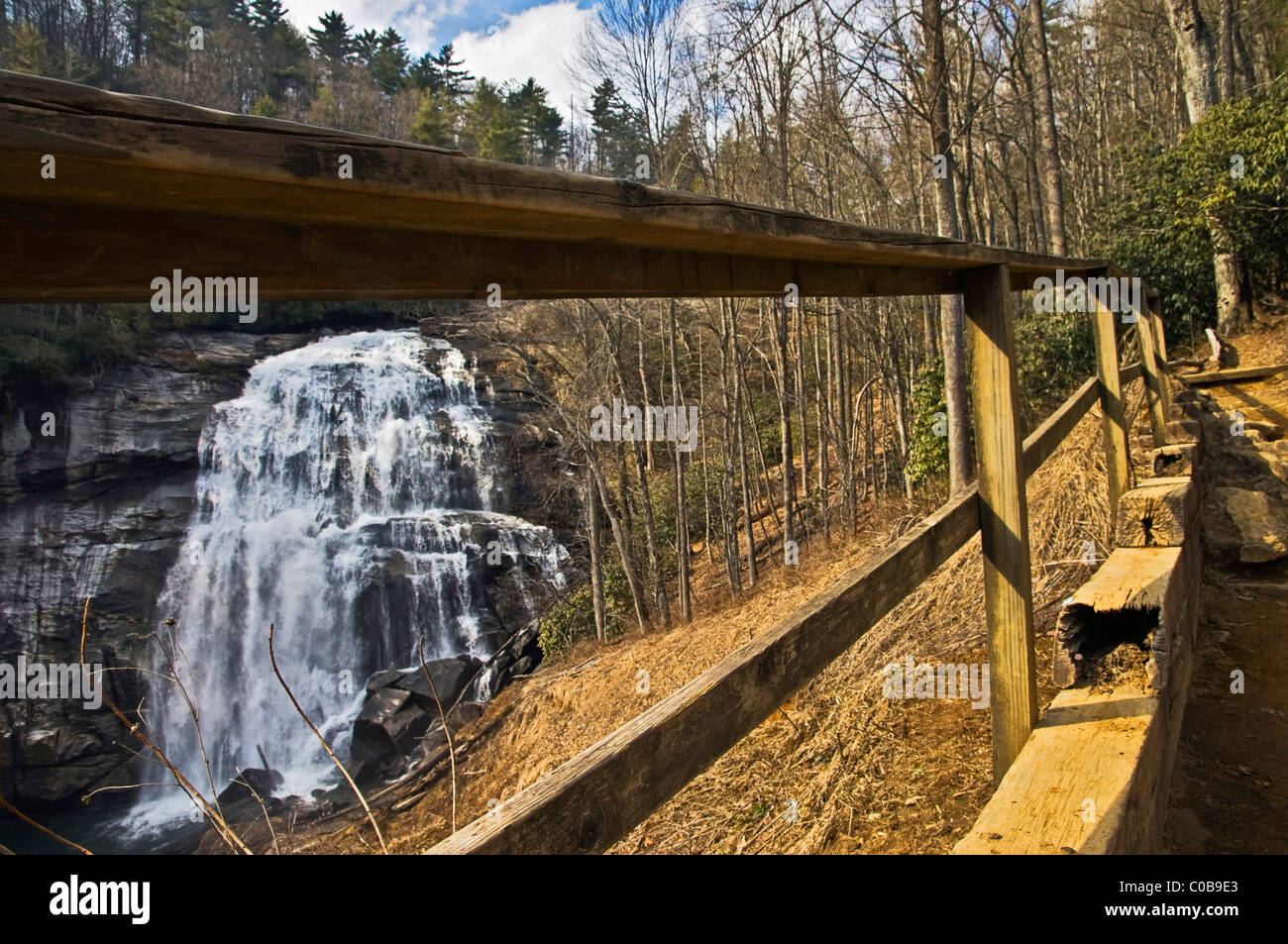 The hiking trail leading to Rainbow Falls in Gorges State Park, North Carolina. Stock Photo