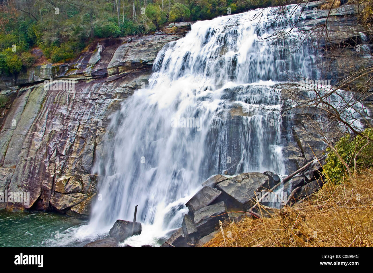 Gorges State Park: NC's Hidden Gem – A Nature Lover's Paradise