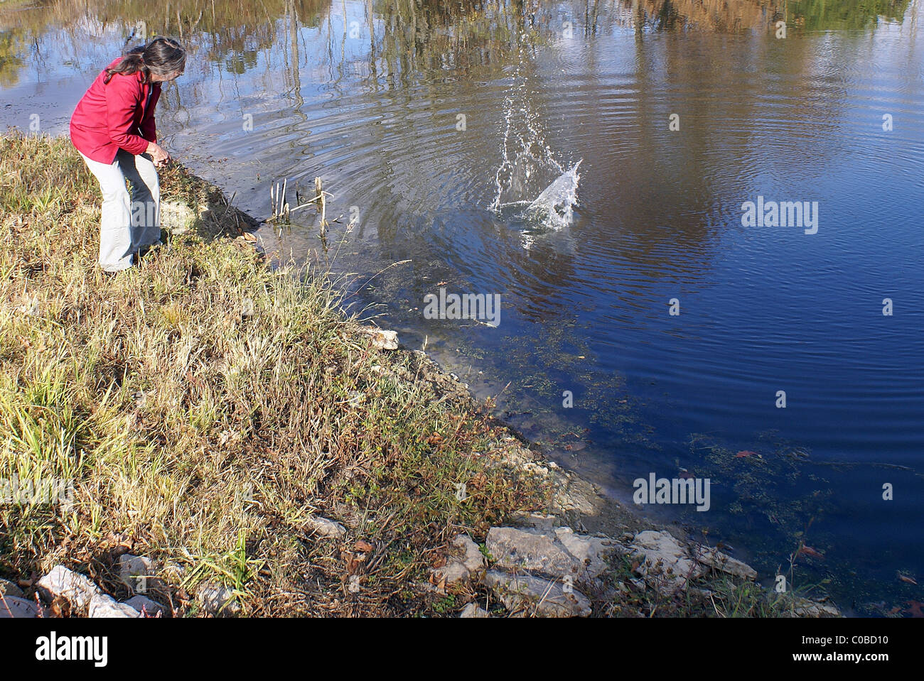 Woman trying to skip rocks in a pond Stock Photo Alamy