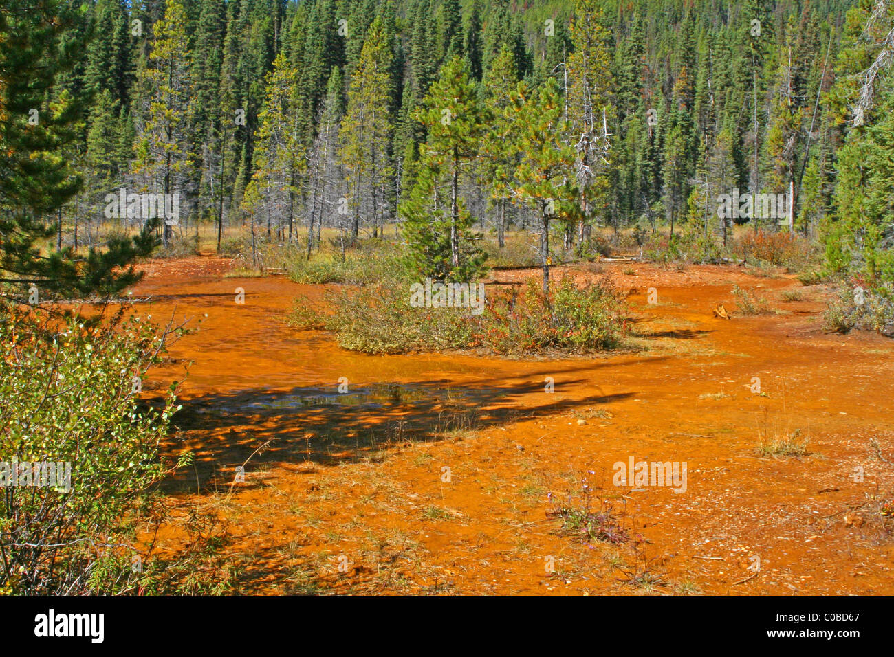 Paint pots in Alberta, Canada near the town of Radium Stock Photo Alamy