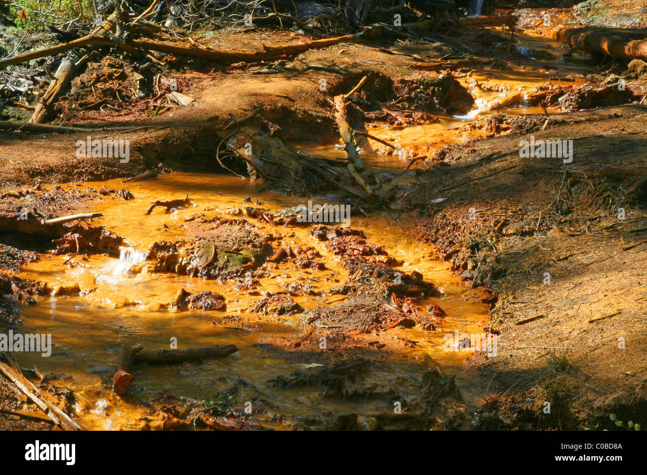 Paint Pots In Alberta Canada Near The Town Of Radium Stock Photo Alamy   Paint Pots In Alberta Canada Near The Town Of Radium C0BD8A 