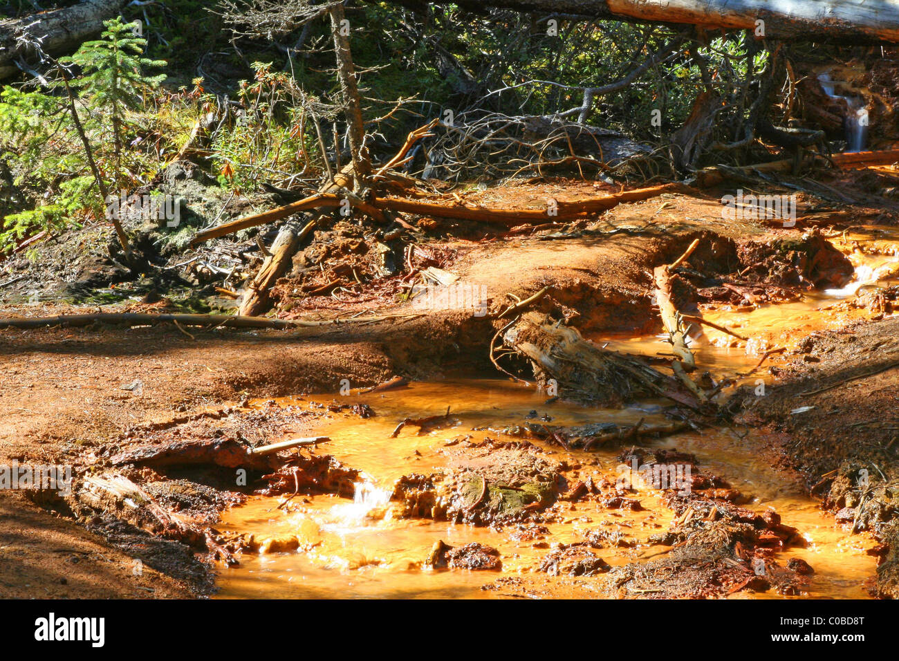 Radium paint hires stock photography and images Alamy