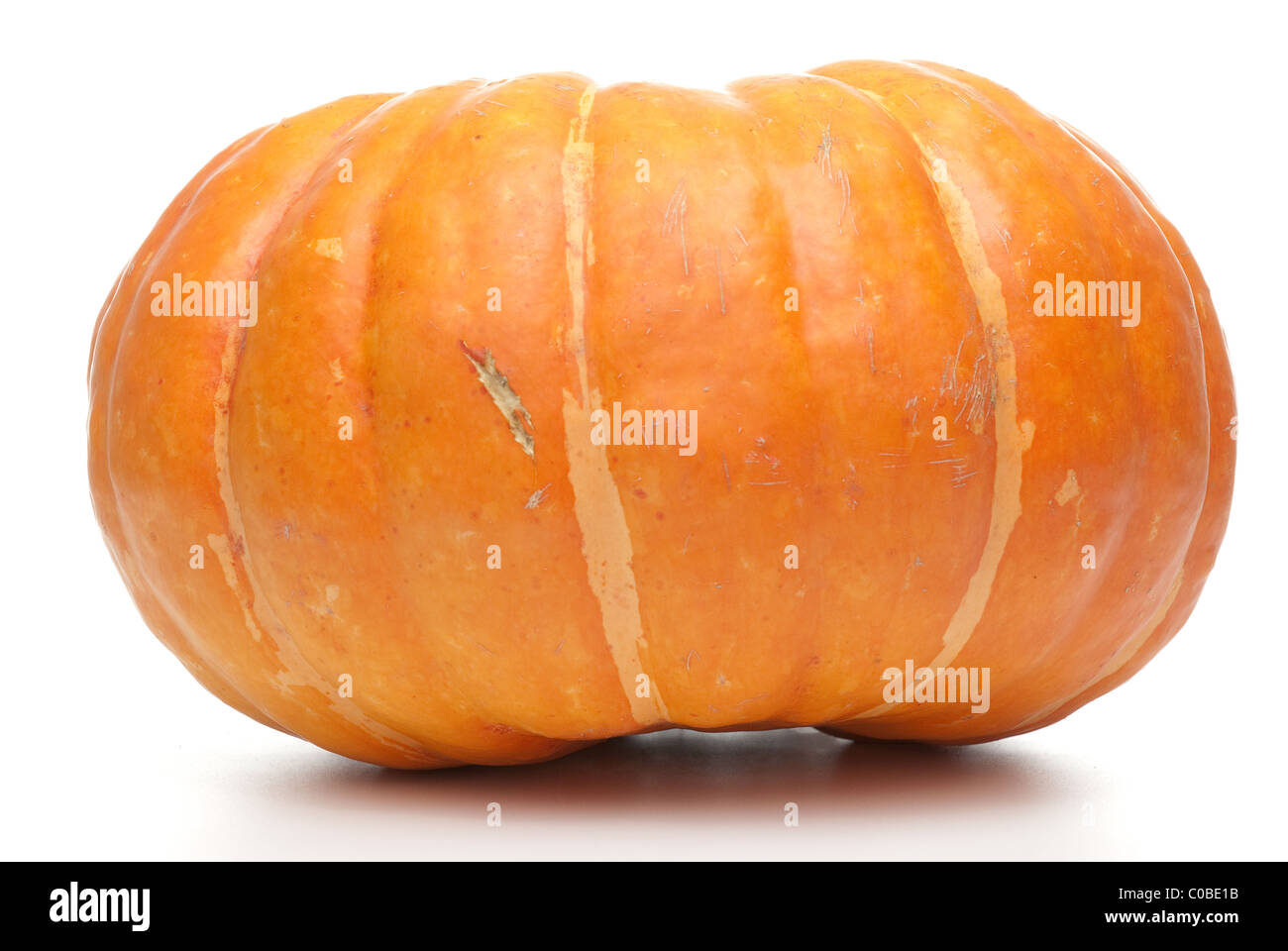 Orange pumpkin isolated on white background Stock Photo - Alamy