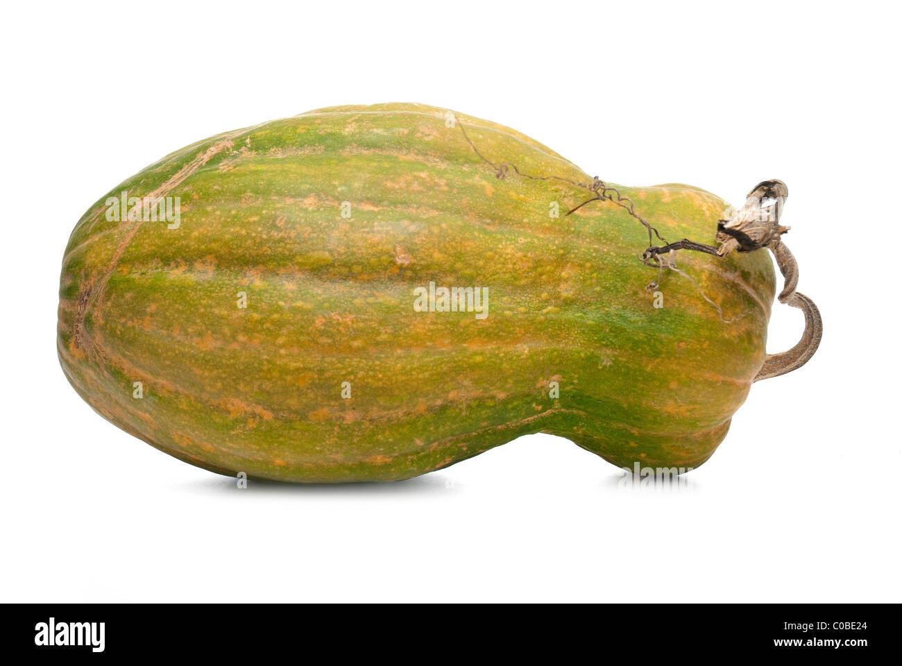 Calabash pumpkin isolated on the white background Stock Photo - Alamy