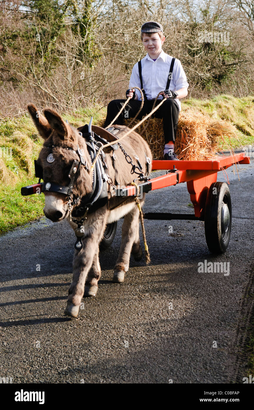 Donkey and cart ireland hires stock photography and images Alamy