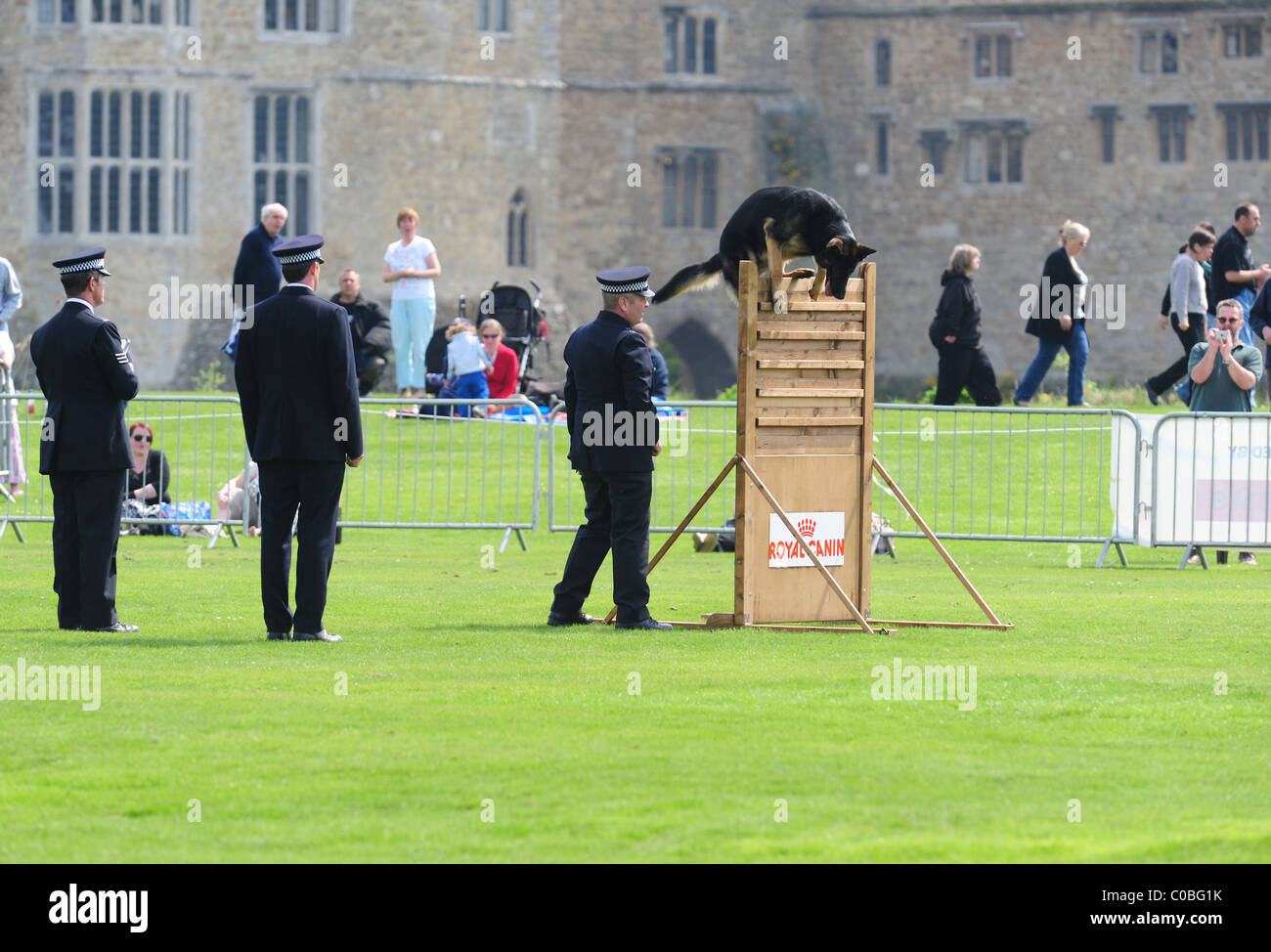 A Police Dog & Handler team competing at the National Police Dog Trials, hosted by Kent Police, at Leeds Castle, Kent. Stock Photo