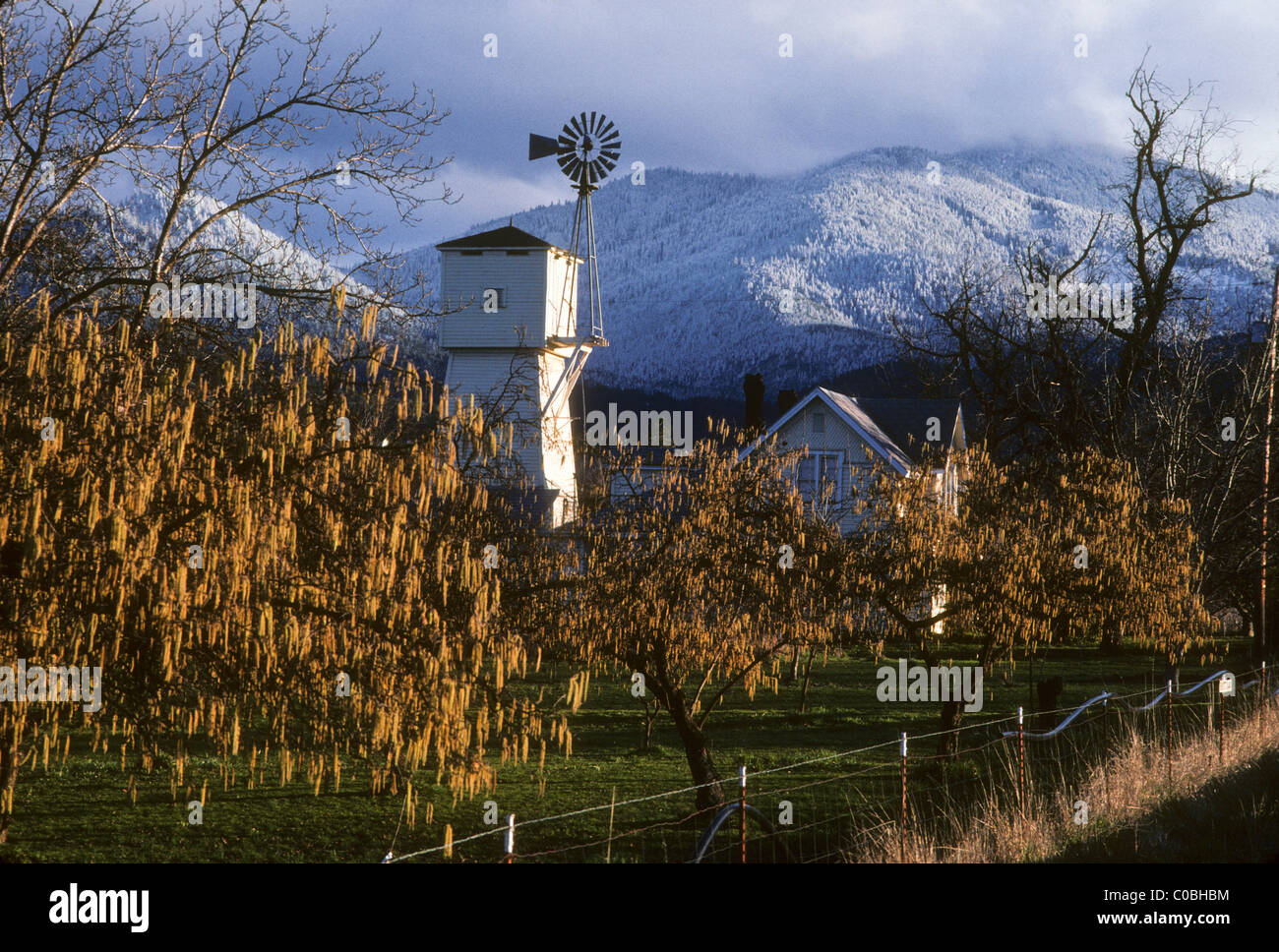 Almond ranch in Southern Oregon with sunset illuminating trees and snow ...