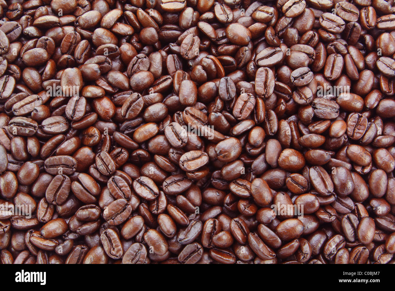 Freshly Roasted Coffee Beans Stock Photo Alamy