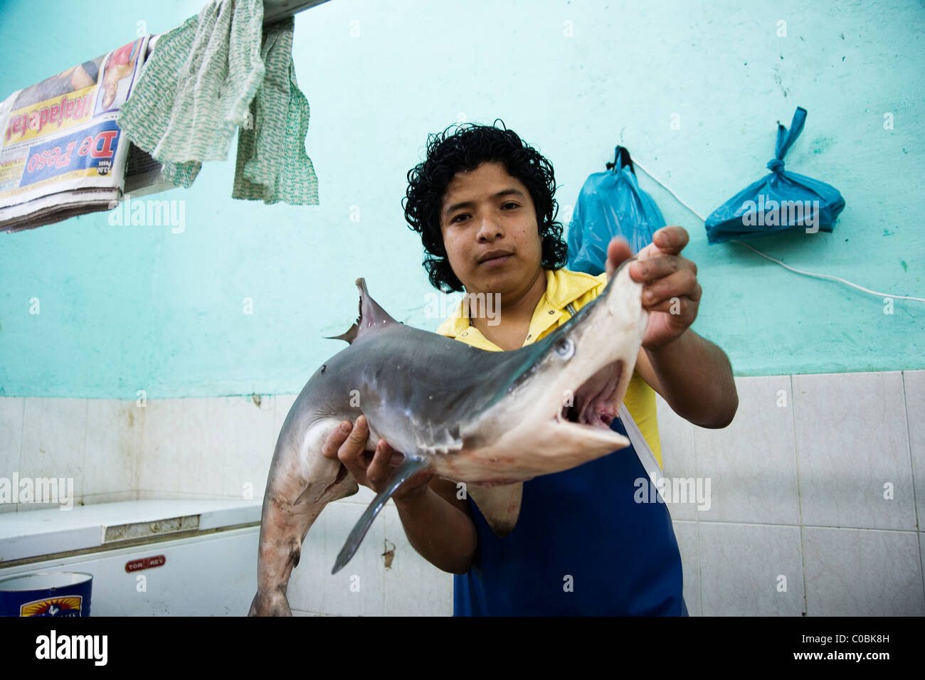 Fishmonger at Merida Market, Merida, Yucatan, Mexico, displays fish for sale Stock Photo