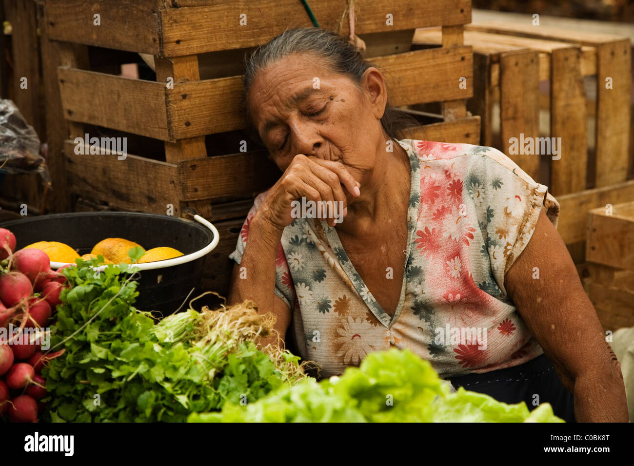 Market trader at Merida market, Yucatan, Mexico, resting. Stock Photo