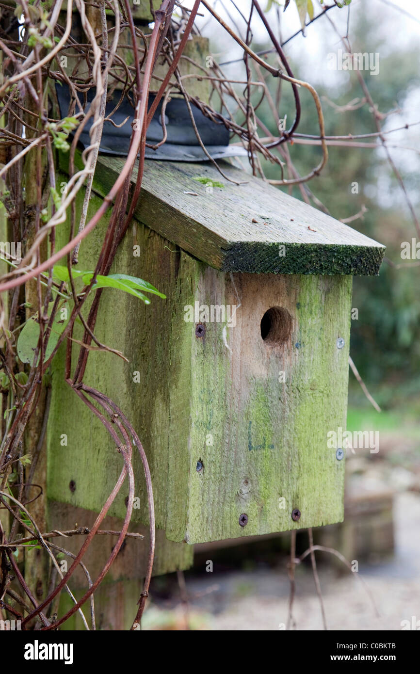 Nest box with hole entrance Stock Photo