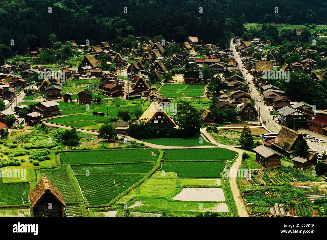 The traditional gassho-zukuri thatched roofs of the village of Shirakawago are dotted amidst rice paddies in mountainous Gifu. Stock Photo