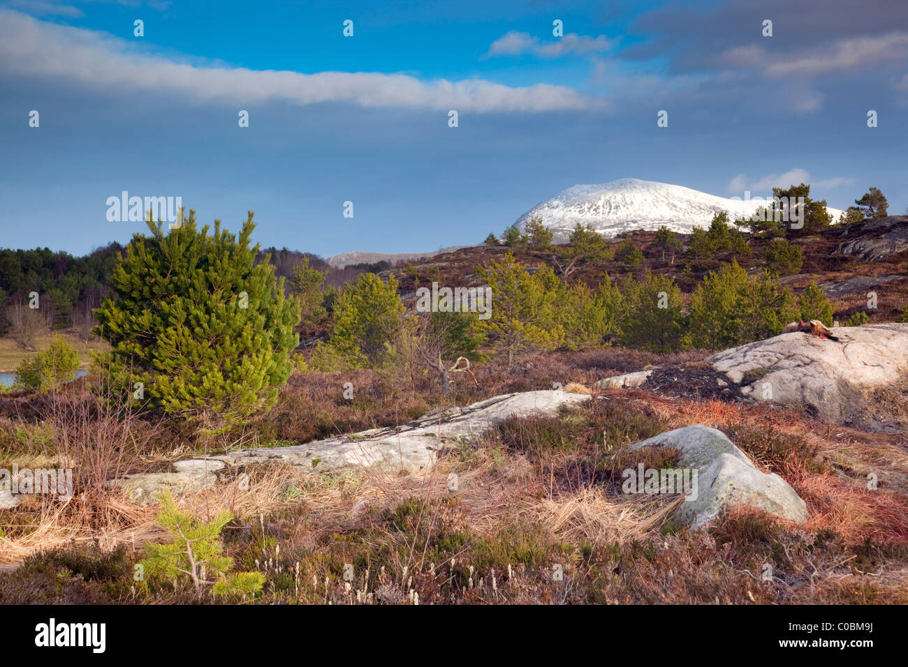 Aukra hires stock photography and images Alamy