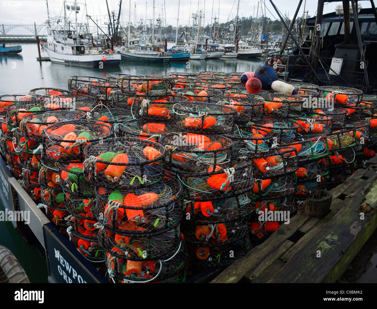 Crab, Charleston, Oregon Stock Photo - Alamy