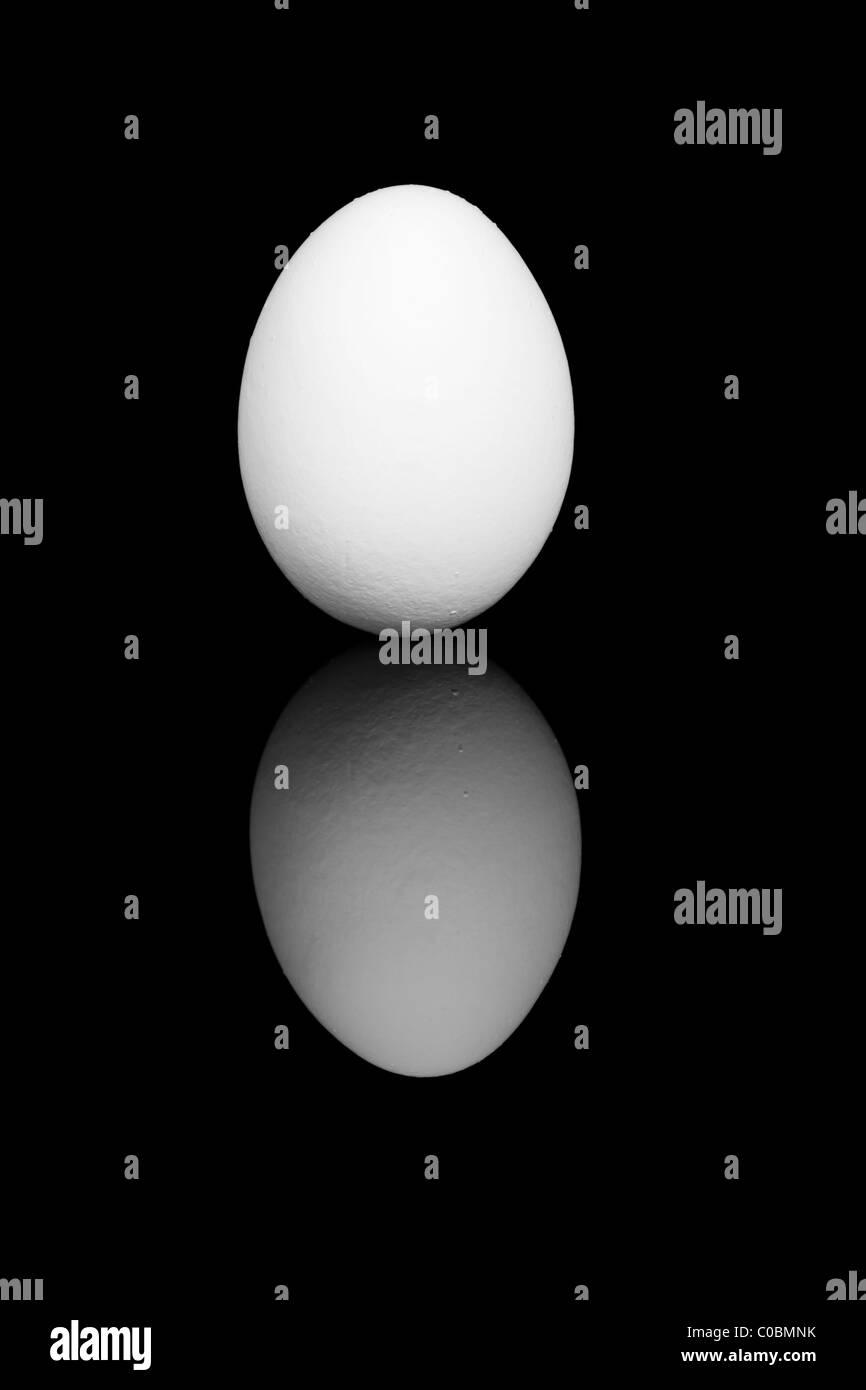 white egg on black background with reflection Stock Photo
