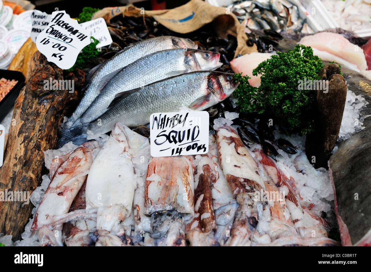 Fishmonger's Stall with Whitby Squid, Borough Market, Southwark, London, England, Uk Stock Photo