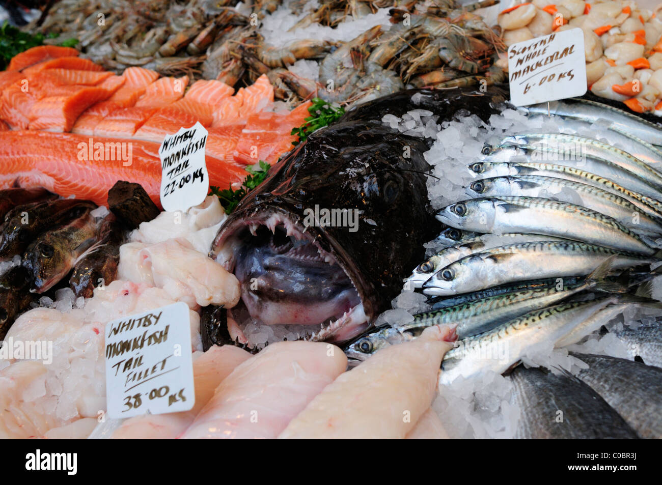 Fishmonger's Stall with a Monkfish at Borough Market, Southwark, London