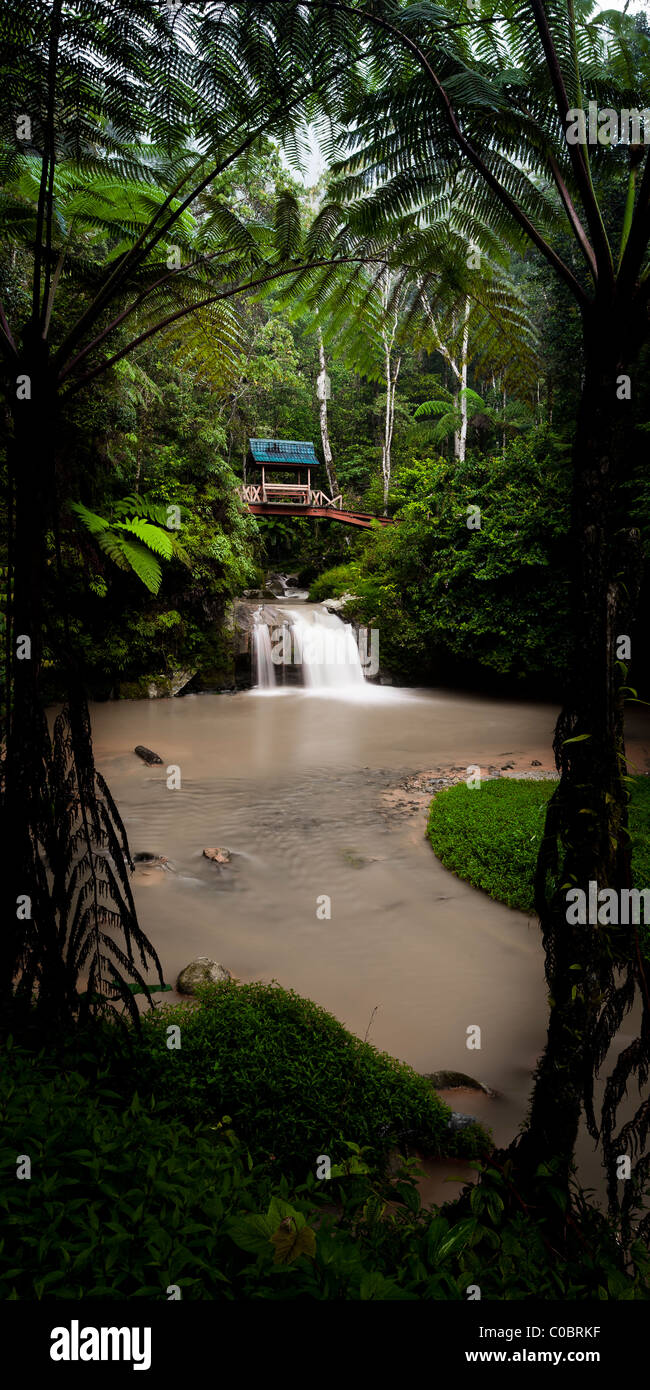 Rainforest and Parit Waterfall, Cameron Highlands Stock Photo Alamy