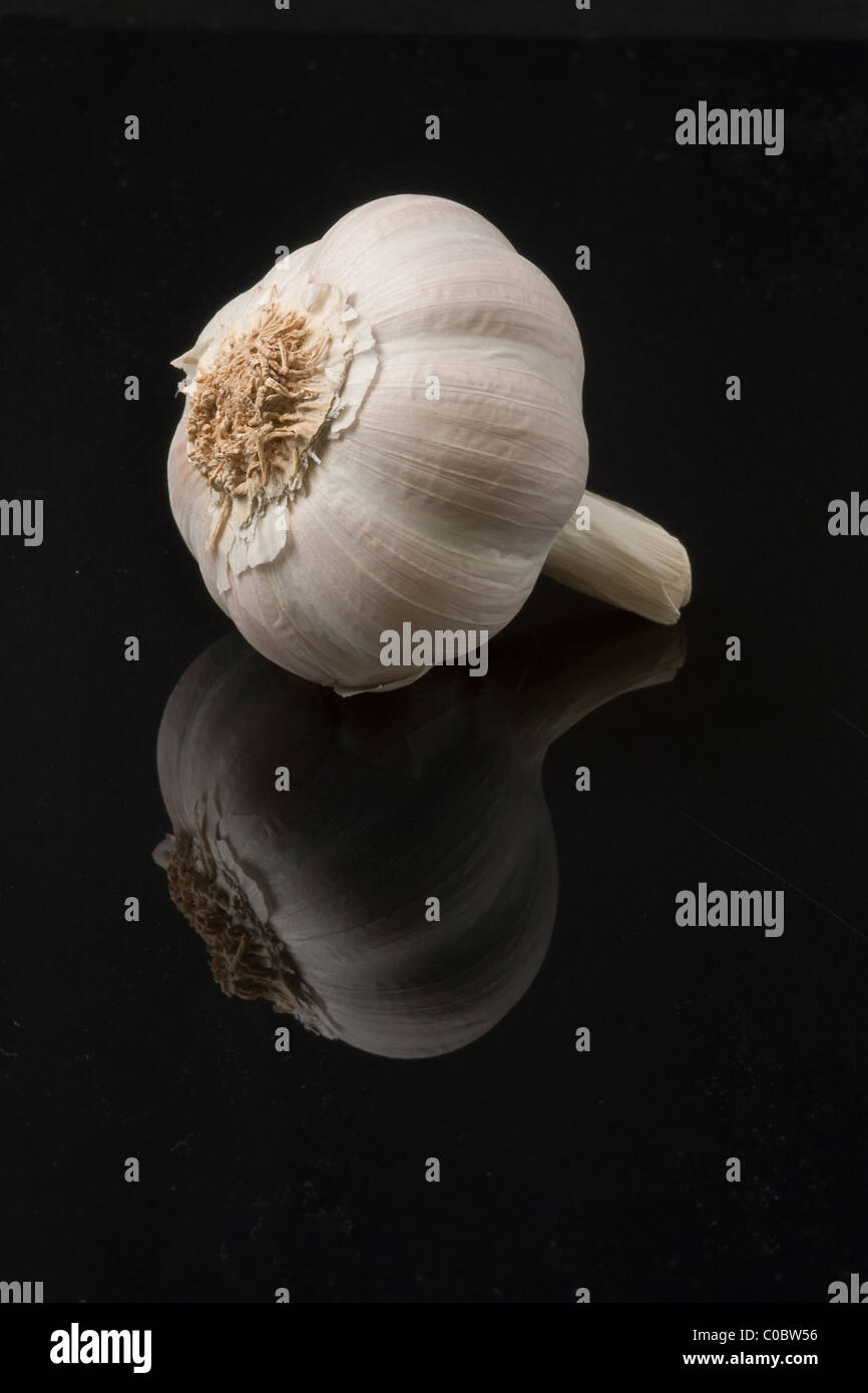 Garlic bulbs on a black background Stock Photo