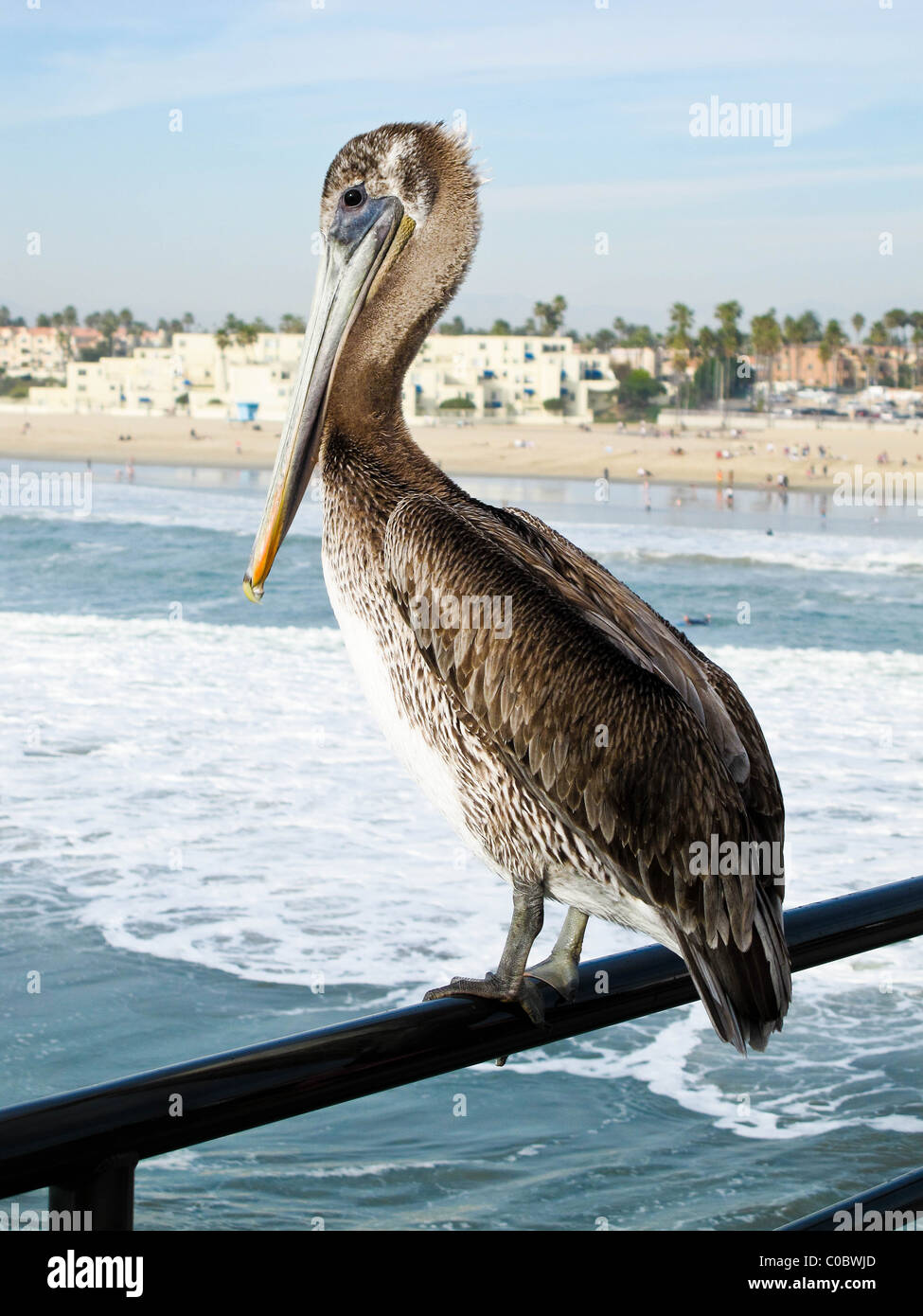 Los Angeles shot from a helicopter Stock Photo - Alamy