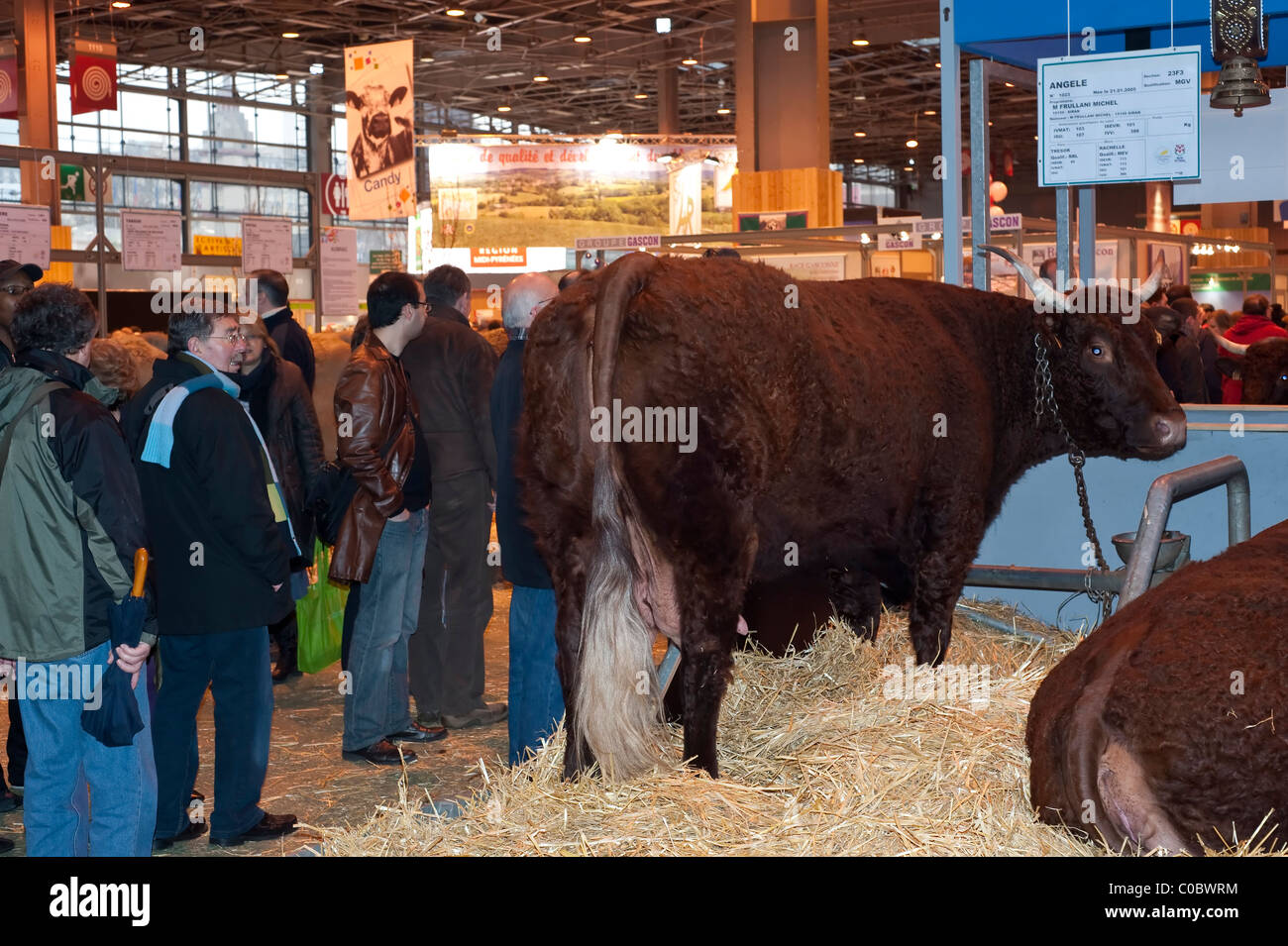 Paris, France - Agricultural Fair Stock Photo