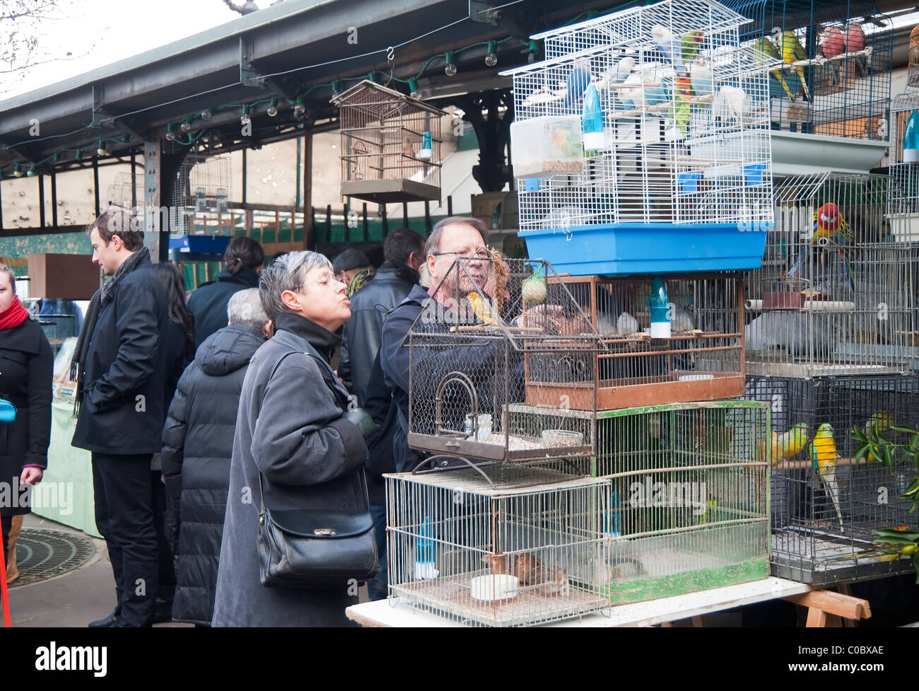 Paris, France people visiting the birds market ( Marche aux oiseaux