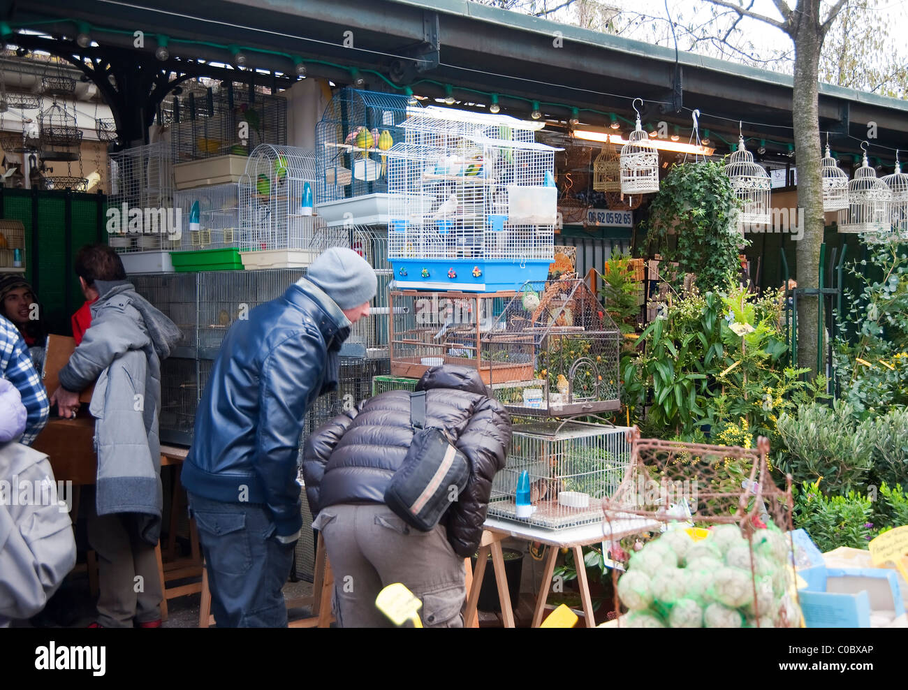 Paris, France people visiting the birds market ( Marche aux oiseaux
