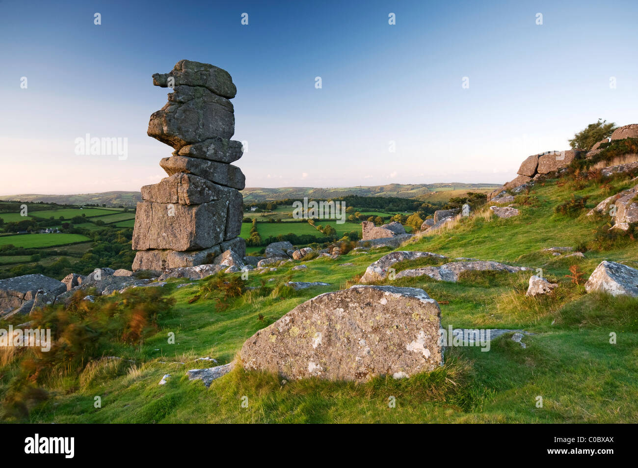 The Bowerman's Nose, Dartmoor, in summer evening light. Stock Photo