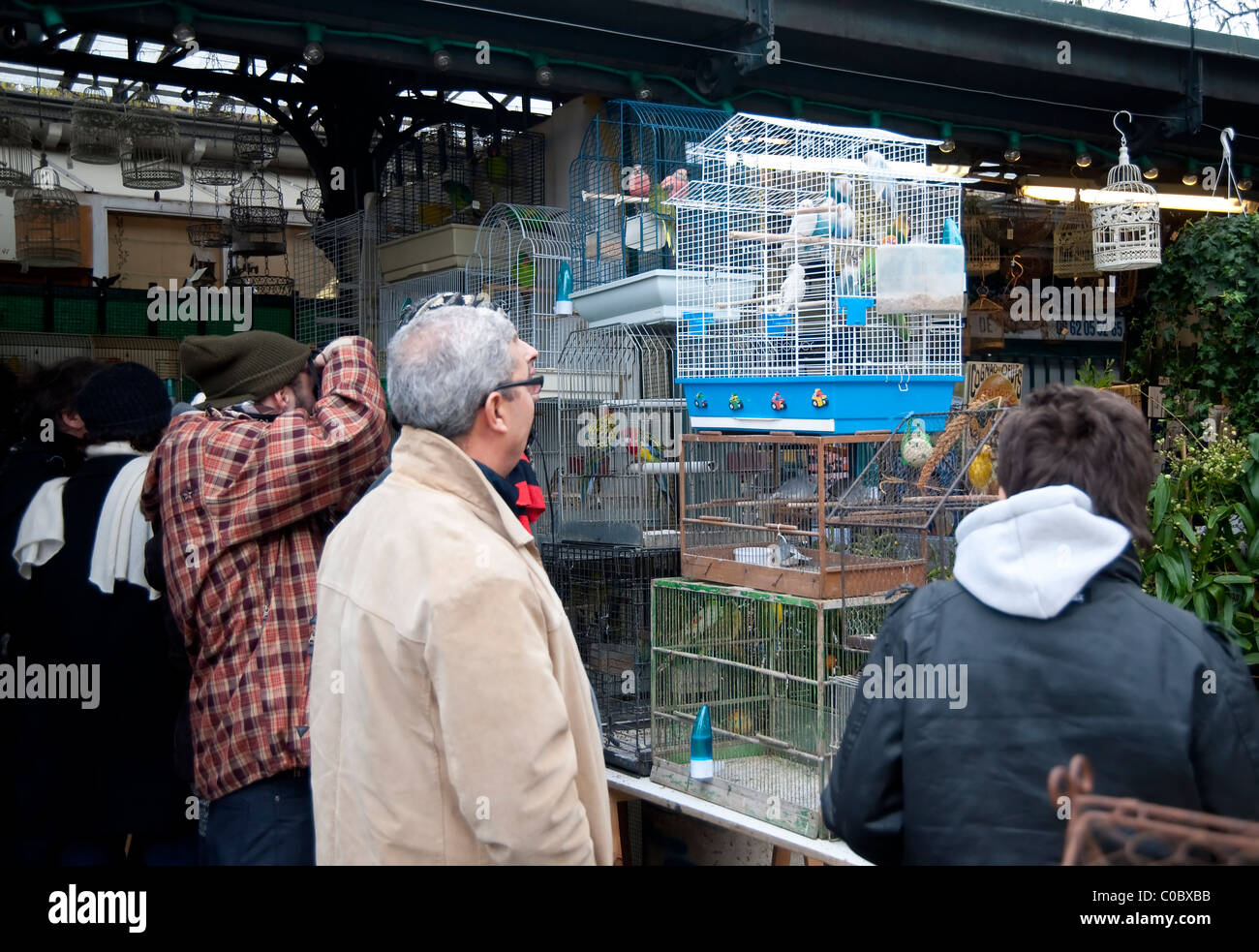 Paris, France people visiting the birds market ( Marche aux oiseaux