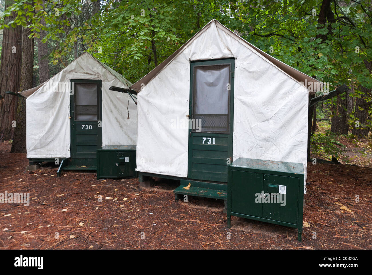 Curry Village cabins, Yosemite National Park, California, United States  Stock Photo - Alamy