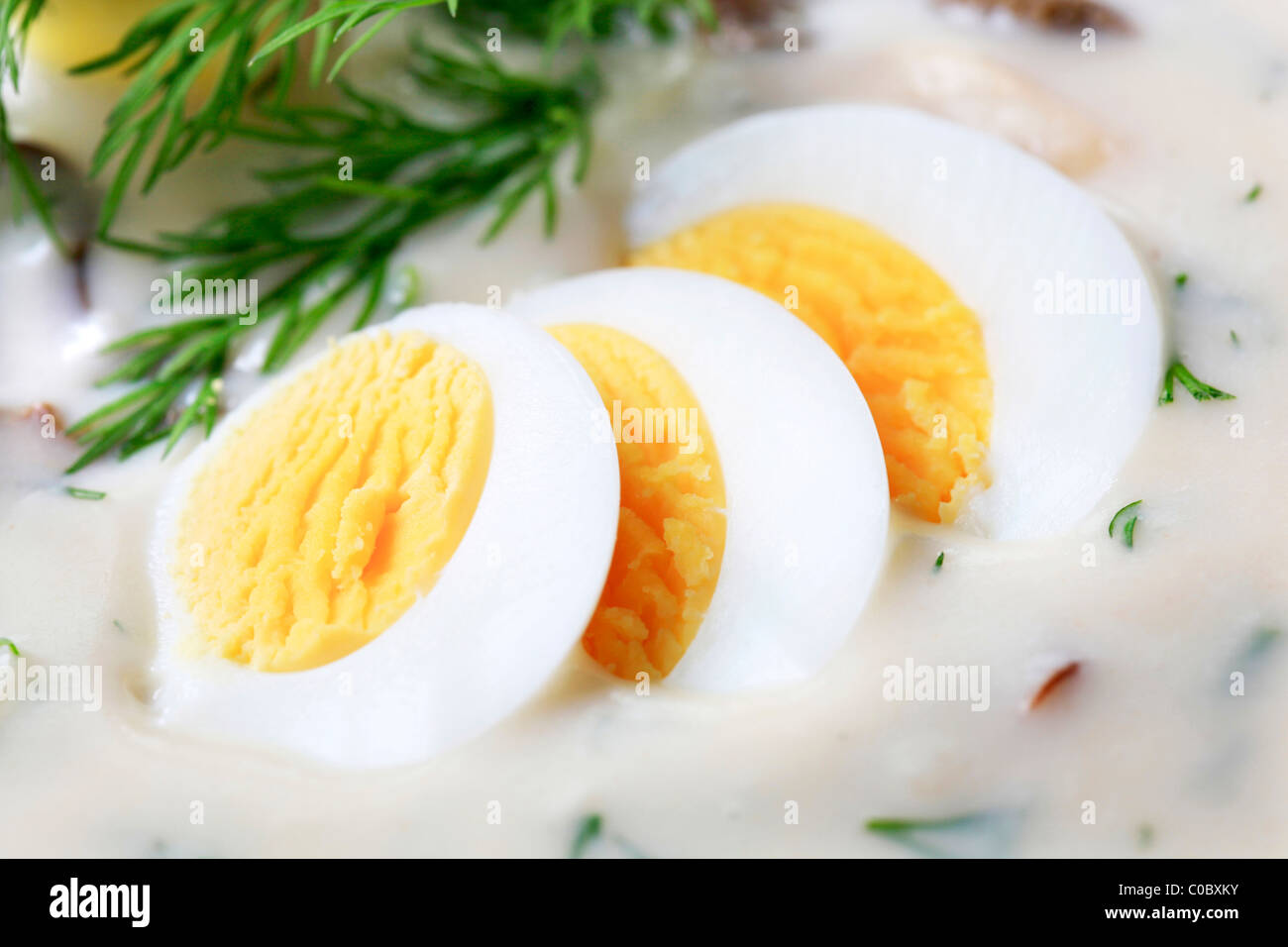 Cream soup with dill, mushrooms and egg Stock Photo