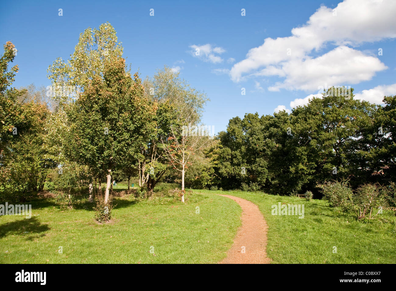Crabtree Park Camberley, site of potential near football ground
