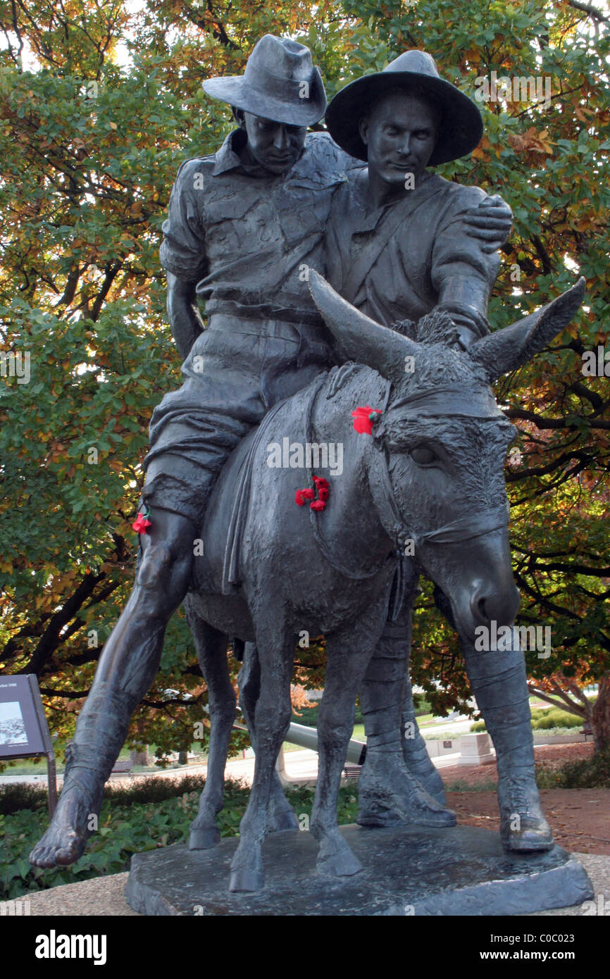 The statue of Simpson and his donkey (1988) by Peter Collett stands outside the Australian War Memorial, Canberra, ACT Stock Photo