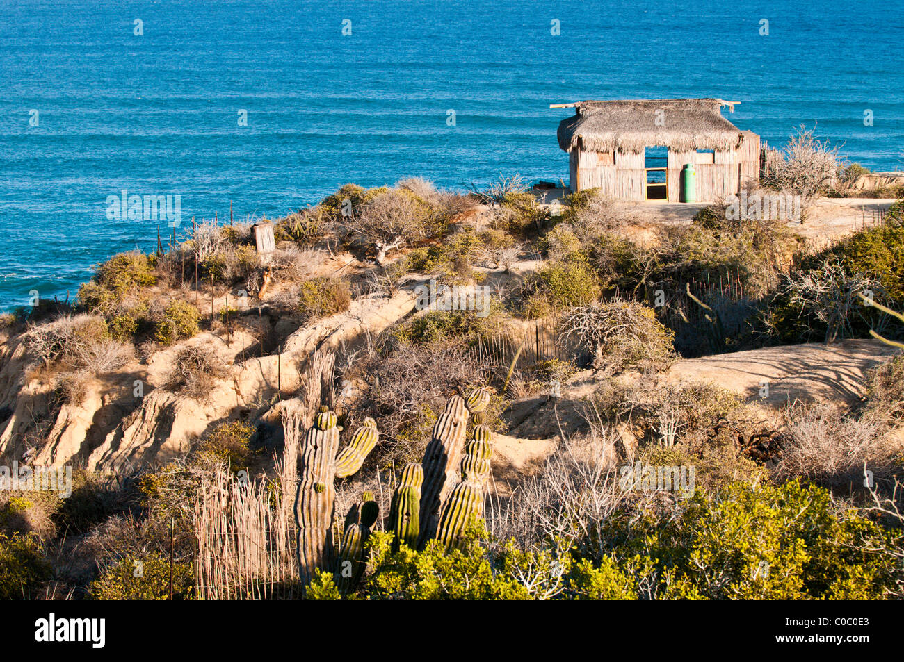 Mexico baja california desert hi-res stock photography and images - Alamy