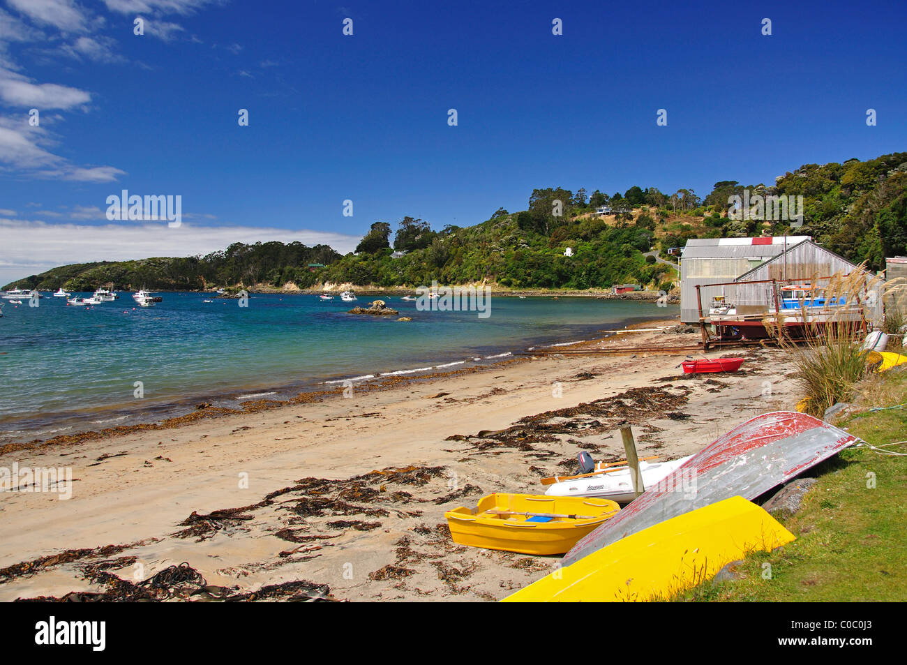 Beach waterfront, Oban, Stewart Island (Rakiura), Southland Region, New Zealand Stock Photo