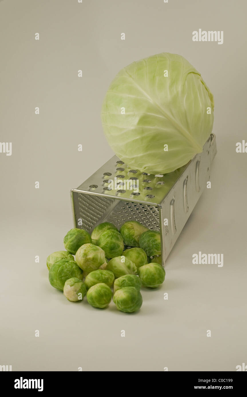 Brussels sprouts, So that is where they come from. Stock Photo