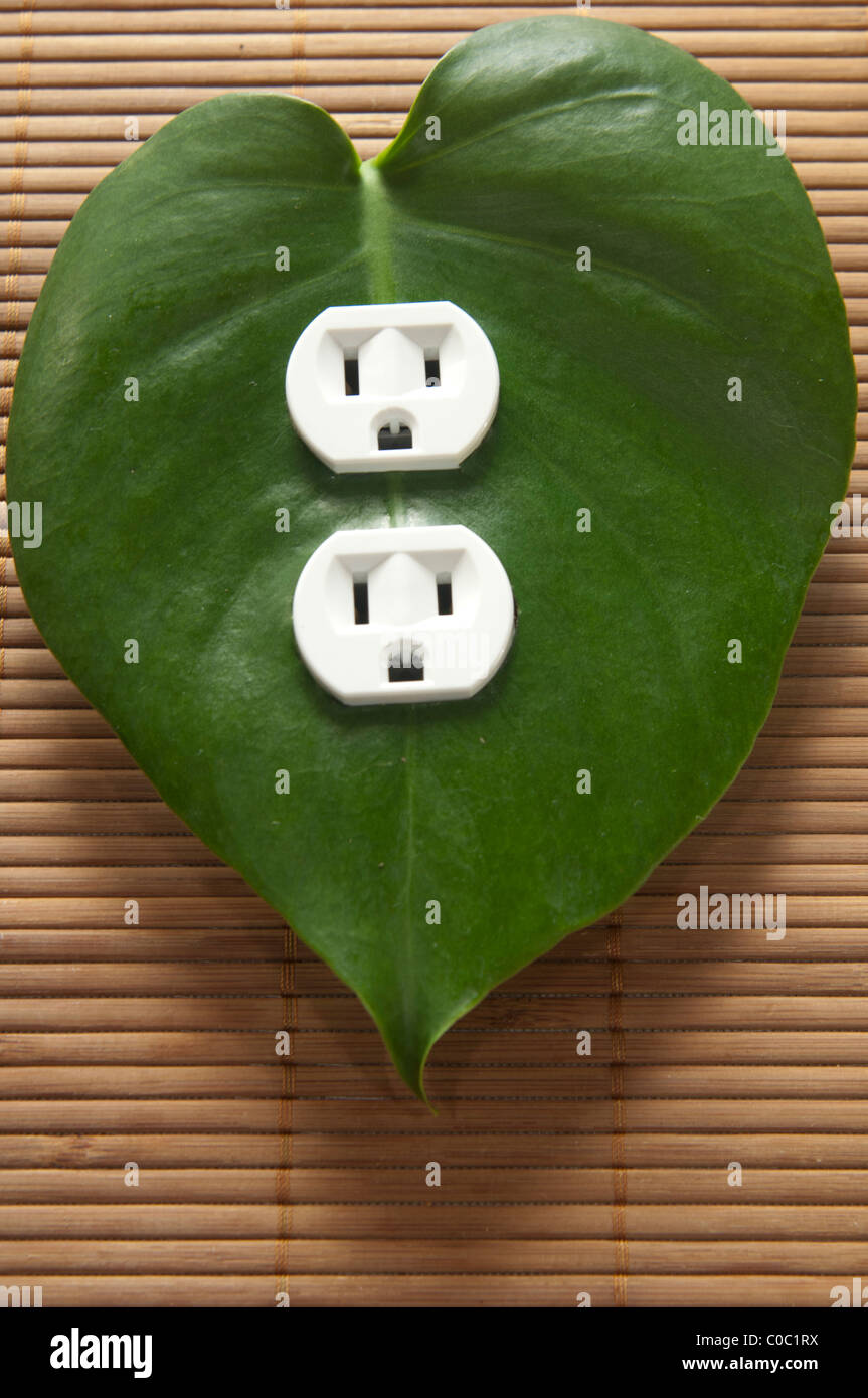 American electrical outlet with green leaf Stock Photo Alamy