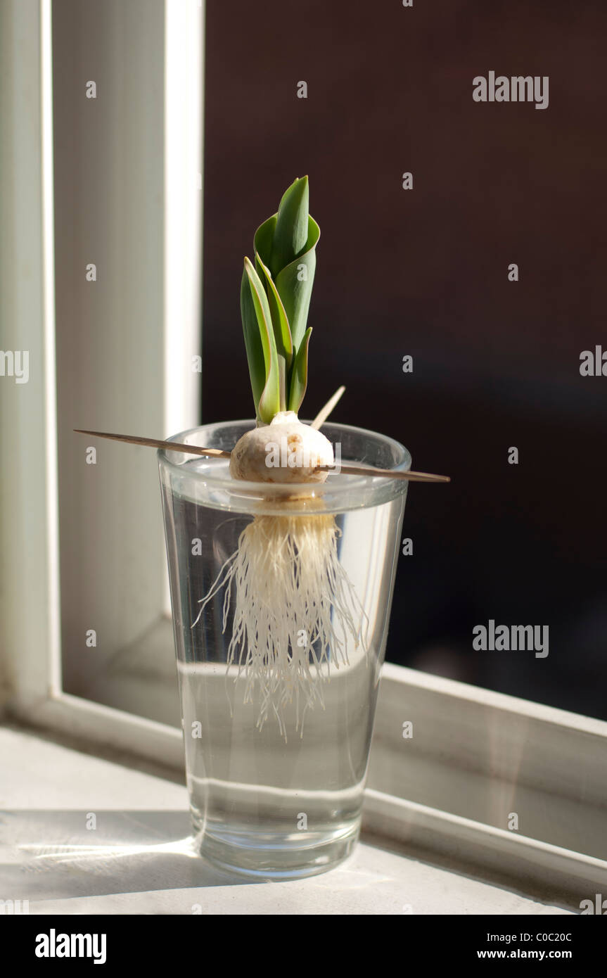 Simple experiment hires stock photography and images Alamy