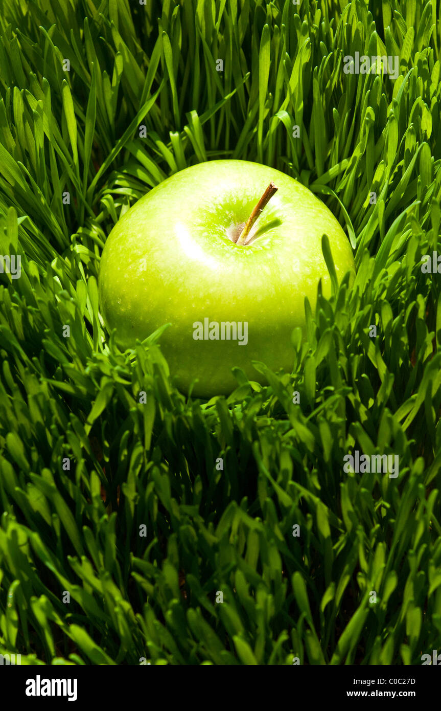 Green apple on green grass Stock Photo