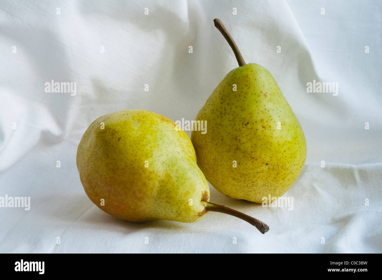 https://c8.alamy.com/comp/C0C3BW/williams-pears-on-a-white-cloth-background-C0C3BW.jpg