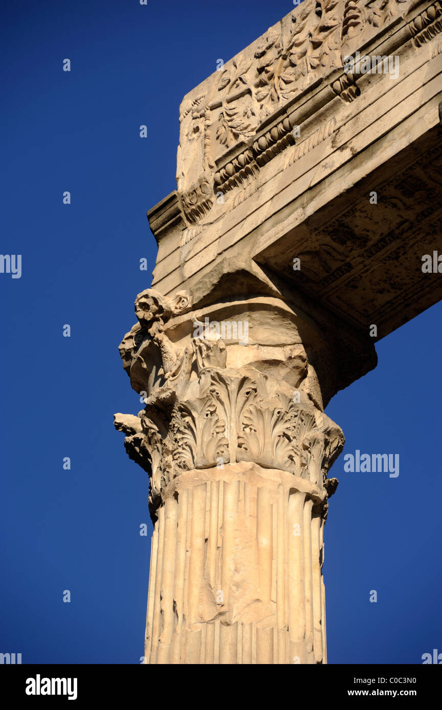 Italy, Rome, temple of Apollo Sosianus, corinthian column detail Stock Photo