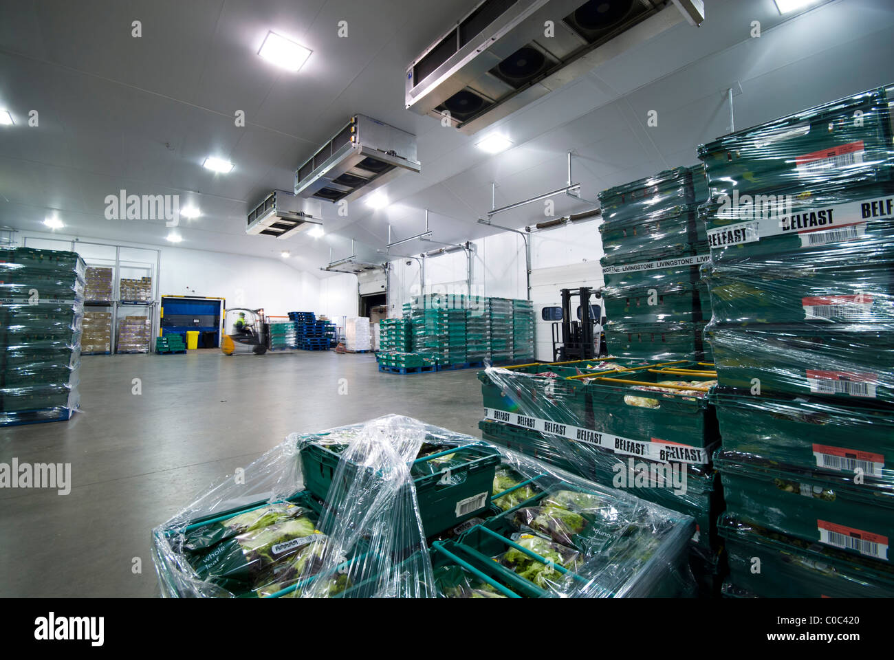 Salad crop distribution warehouse Stock Photo Alamy