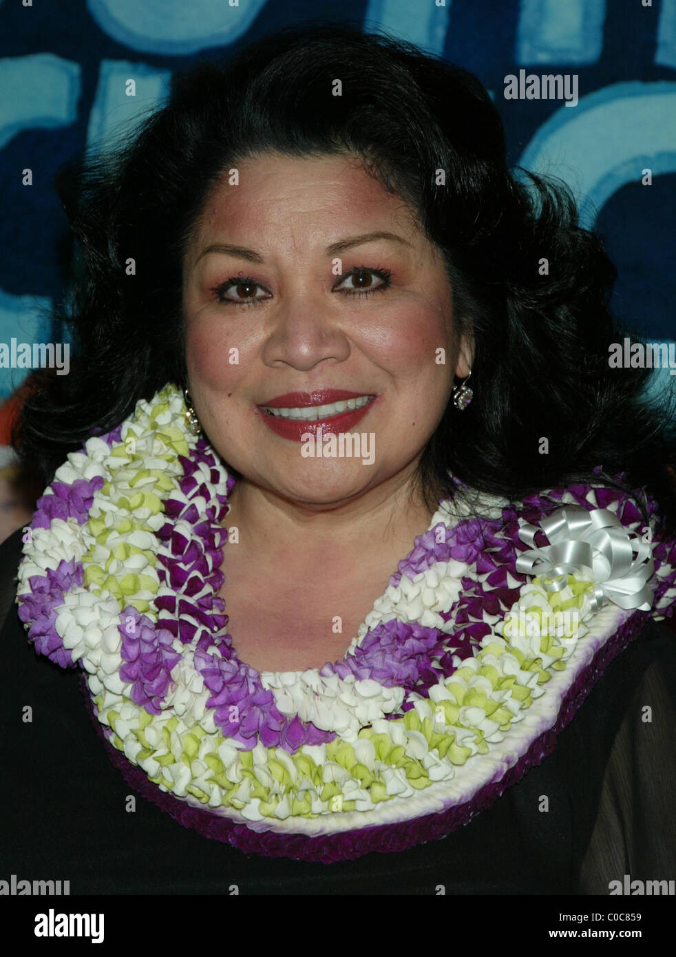Loretta Ables Sayre Opening Night After Party for 'South Pacific' held at Tavern On the Green New York City, USA - 03.04.2008 Stock Photo