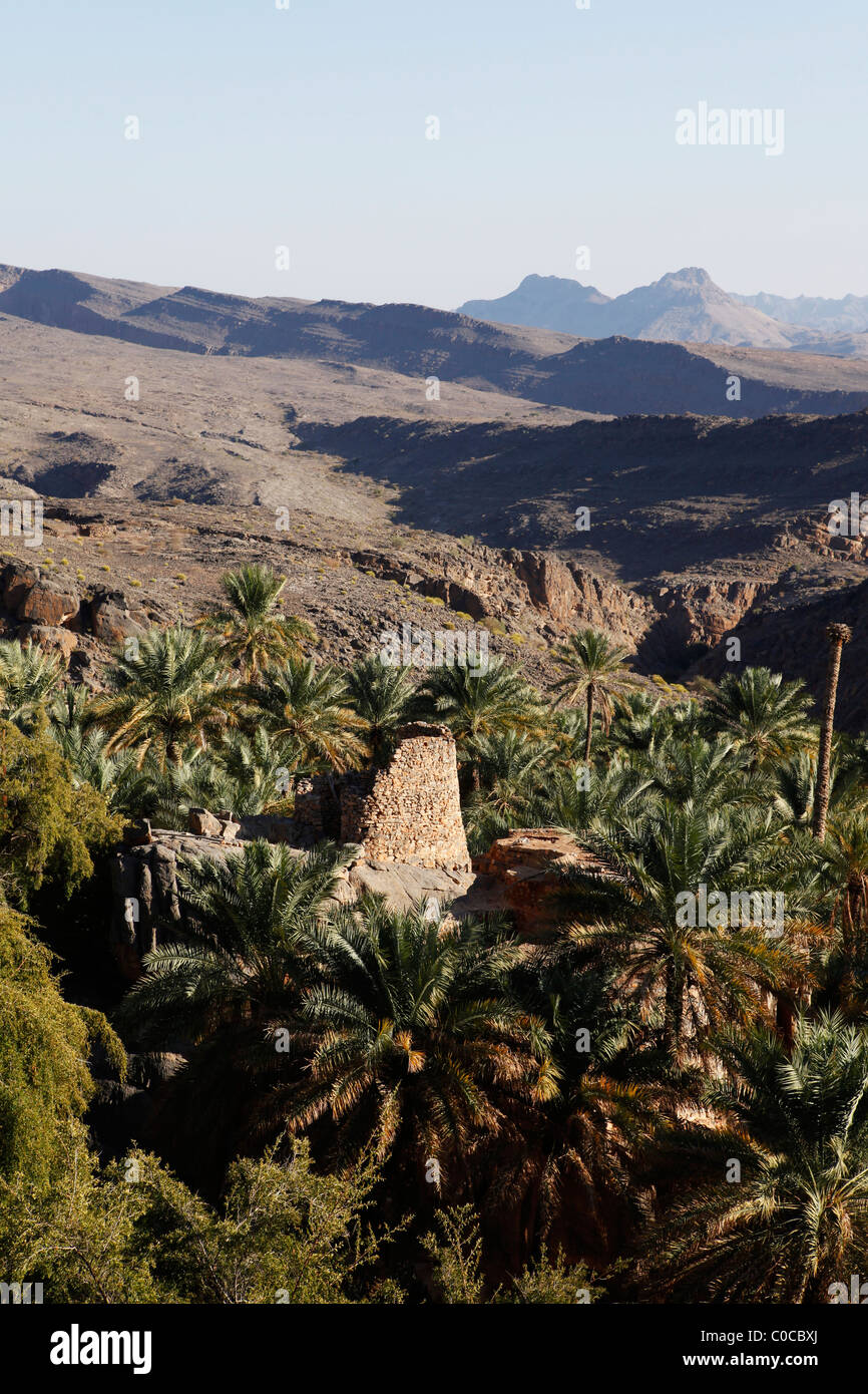 A date plantation in the Omani mountain village of Misfah. Stock Photo