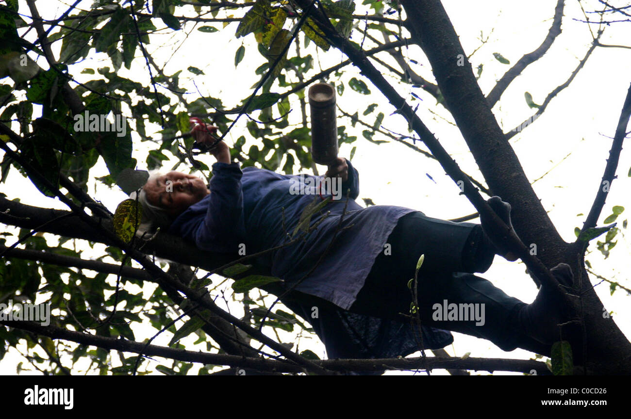 * RESCUE ATTEMPT Firefighters in China have rescued a 70-year-old woman ...