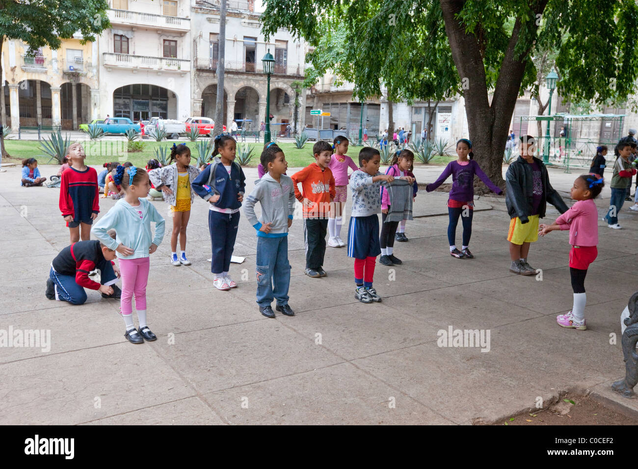 Cuba, Havana. School Children doing Morning Exercises. Stock Photo